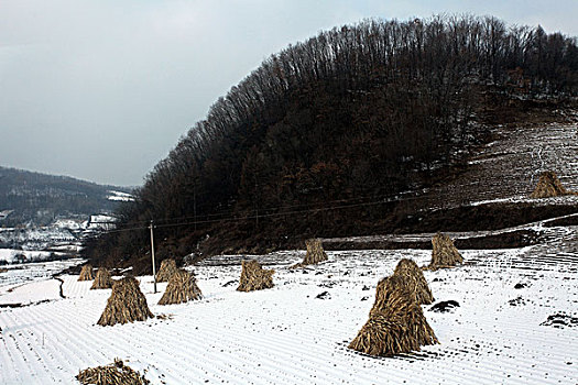 雪野,北方,东北,大雪,原野,土地,冬季,洁白,干净,风景,村庄,农村