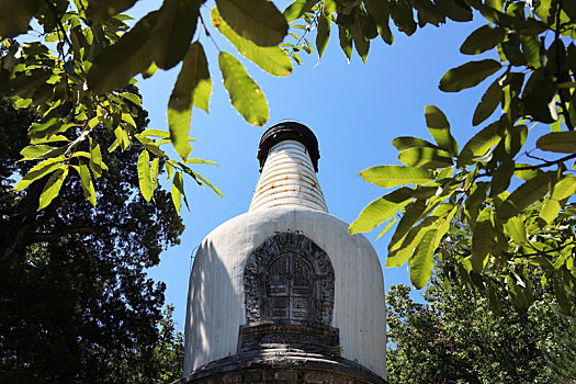 北京西山古刹大觉寺