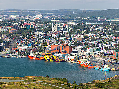 船,港口,城市,纽芬兰,加拿大