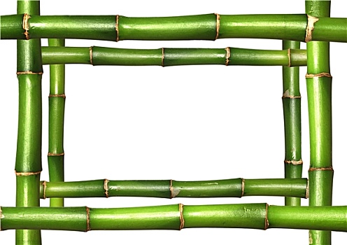 竹子,茎,边界