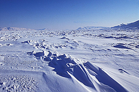 北极,风景,声音,艾利斯摩尔岛,加拿大