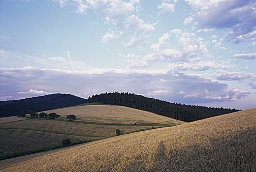 全景,风景,山坡,捷克共和国