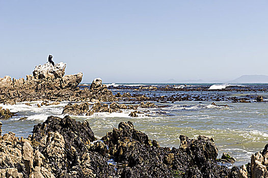 南非,西海角,岬角,半岛,湾,岩石海岸