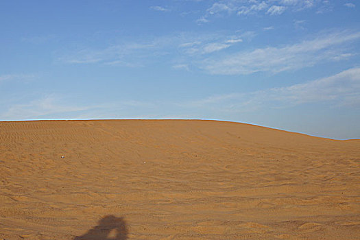 沙漠,阿拉伯