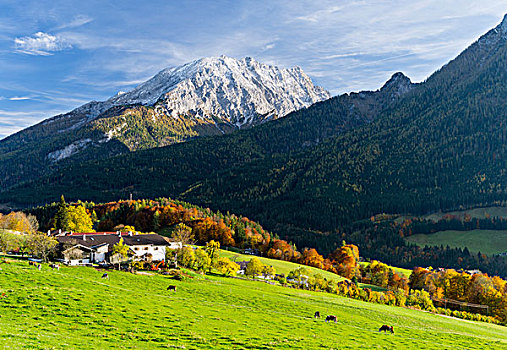 风景,区域,贝希特斯加登地区,背景,山,国家公园,瓦茨曼山,巴伐利亚,德国,大幅,尺寸