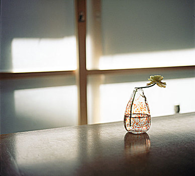 花瓶,桌子