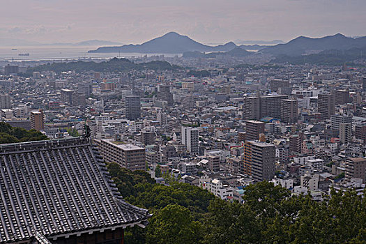 斑点,松山市,城堡,日本