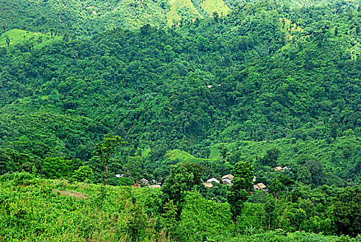 风景,一个,山,孟加拉,七月,2008年