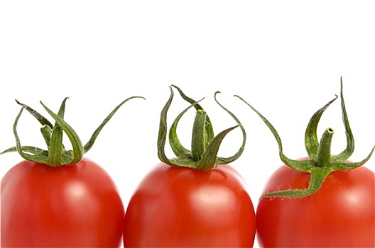 西红柿,白色背景,背景