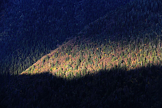 高山光与影