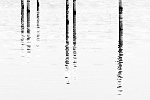 码头,柱子,水中,反射,康涅狄格,美国