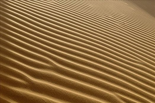 波纹,沙丘,沙漠,锡,阿尔及利亚,北非,非洲