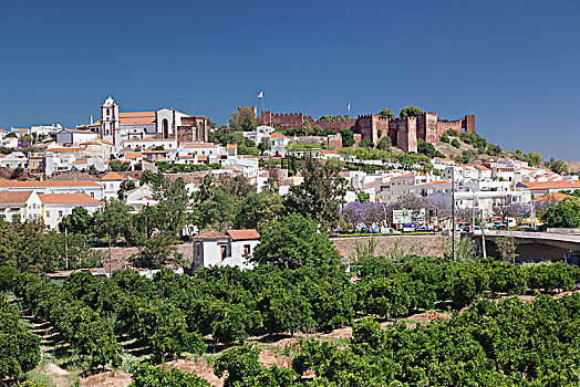 风景,上方,老城,大教堂,城堡,阿尔加维,葡萄牙