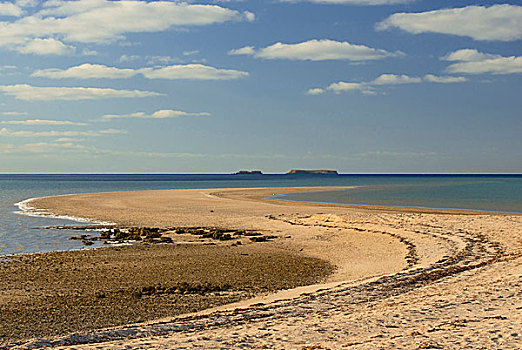 一对,岛屿,远景,风景,沙,鲨鱼湾,西澳大利亚州