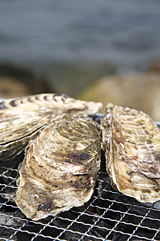 烤制食品,牡蛎