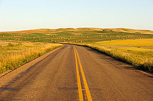 孤单,道路,地点,草原,萨斯喀彻温,加拿大