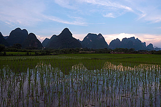 遇龙河边的田园风景