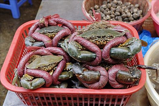 生活方式,蟹肉,鱼市,惠安,越南