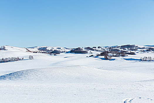 内蒙古坝上雪地自然风光