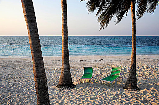 两个,绿色,折叠躺椅,棕榈树,树,海滩,岛屿,省,古巴,大安的列斯群岛,墨西哥湾,加勒比,中美洲,北美
