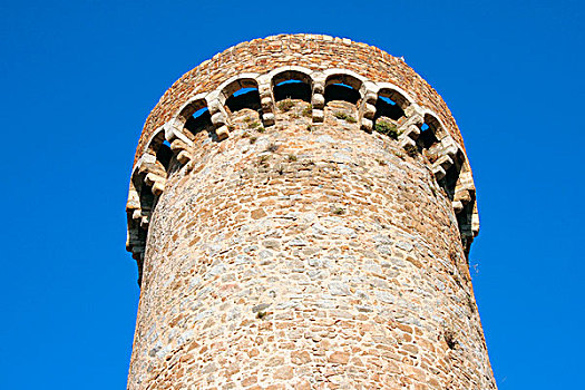 城堡,塔,吉拉那省,加泰罗尼亚,西班牙