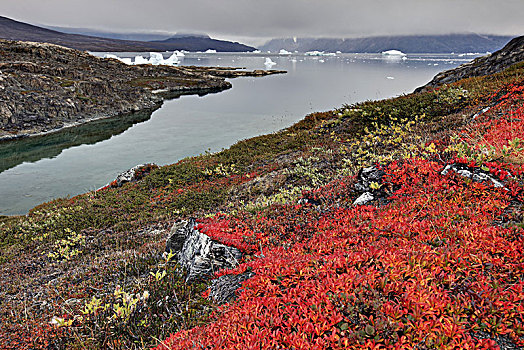 格陵兰,东方,冰山,沿岸,风景,山景,苔原,秋天