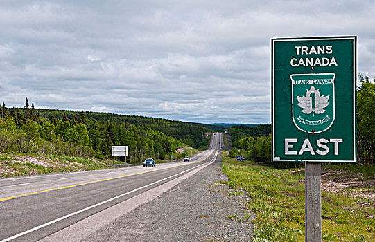 纽芬兰,加拿大,泛加公路,标识,1号公路