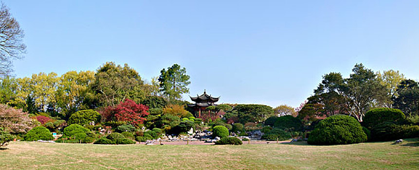 西湖十景,花港观鱼