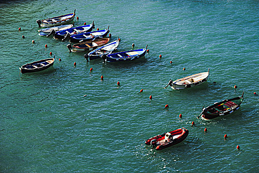 渔船,水,五渔村,维纳扎,利古里亚,意大利
