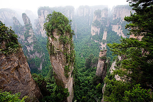 湖南,张家界,天子山