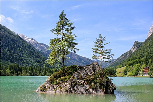 阿尔卑斯山