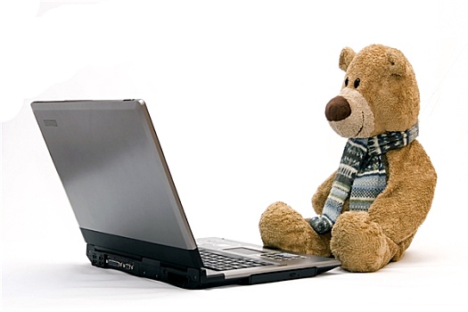 泰迪熊,笔记本电脑
