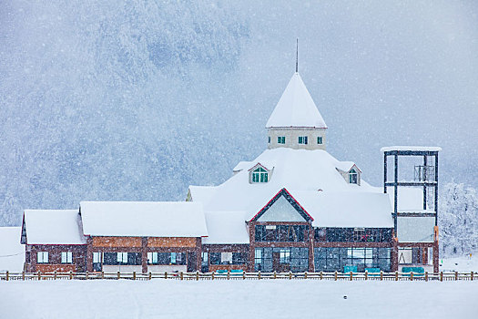 西岭雪山大雪的美丽风景