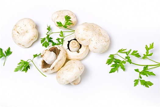 白色,洋蘑菇
