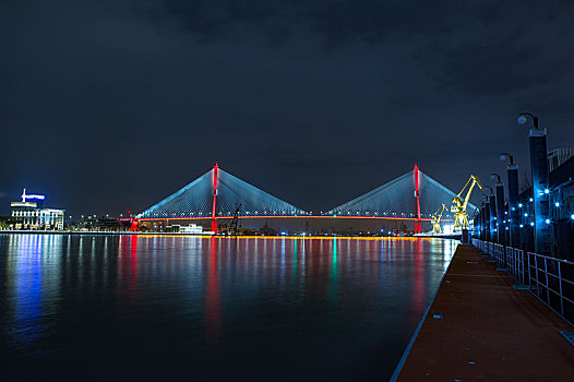 新华滨江杨浦大桥夜景