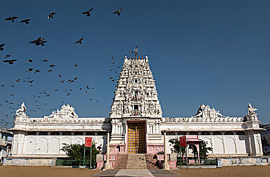 庙宇,普什卡,拉贾斯坦邦,印度,亚洲