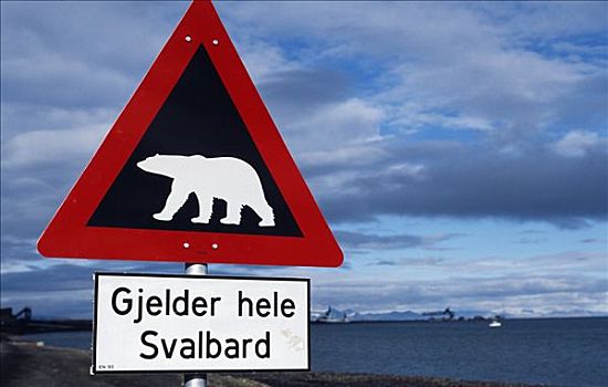北极熊,警告标识,户外,朗伊尔城,斯匹茨卑尔根岛,北极,挪威