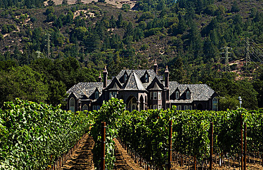 葡萄酒厂,葡萄园,索诺玛山谷,加利福尼亚,美国