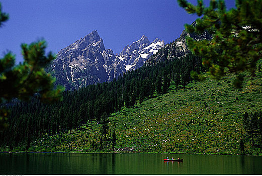 湖,树,山峦,大台顿国家公园,怀俄明,美国