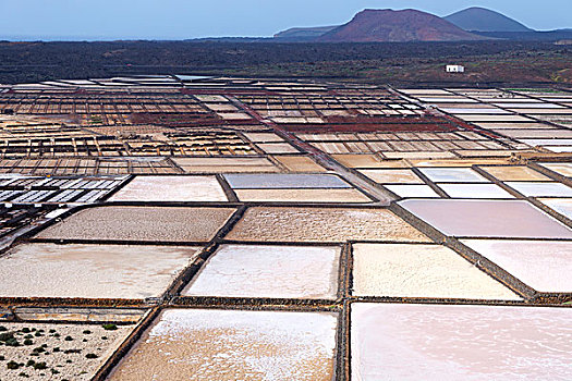 海盐,制作,盐磐,兰索罗特岛,加纳利群岛,西班牙,欧洲