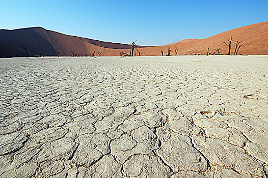 白沙漠,死亡谷