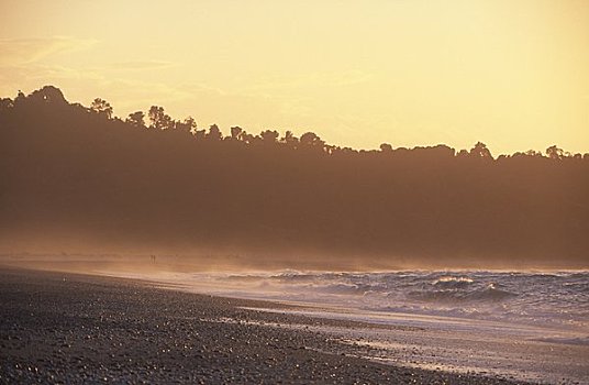 海滩,西海岸,南岛,新西兰