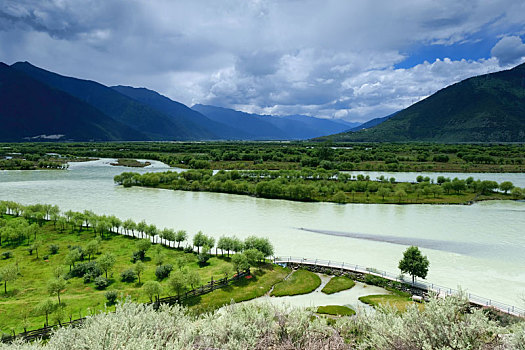 西藏雅尼湿地3