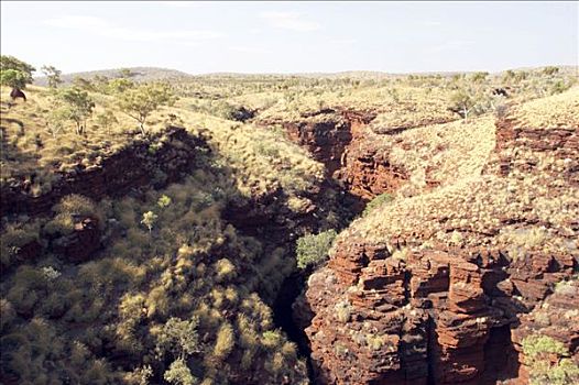 峡谷,卡瑞吉尼国家公园,区域,西澳大利亚