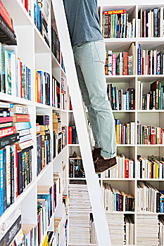 站立,男人,梯子,伸手,书本,图书馆