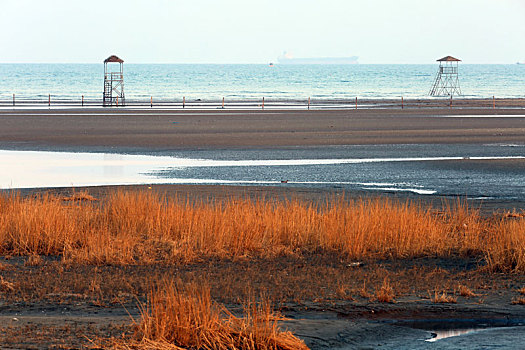 2023年3月25日,北戴河观鸟湿地剪影