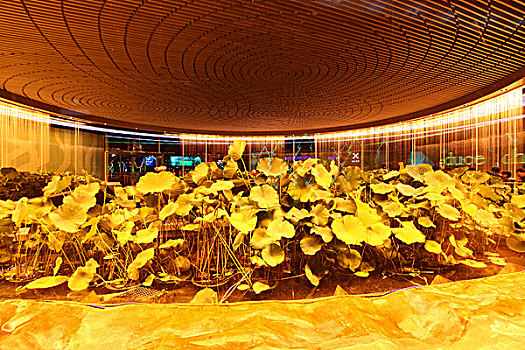 2010年上海世博会-中国馆建筑内部