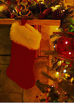 圣诞袜,树