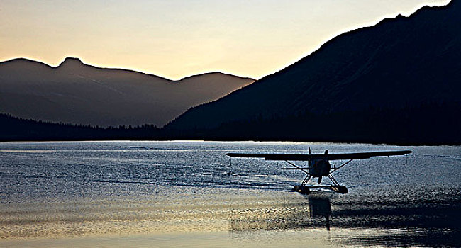 海狸,飞机,到达,湖,区域,不列颠哥伦比亚省,加拿大