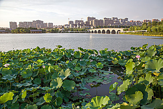 陕西省西安曲江池南湖遗址公园